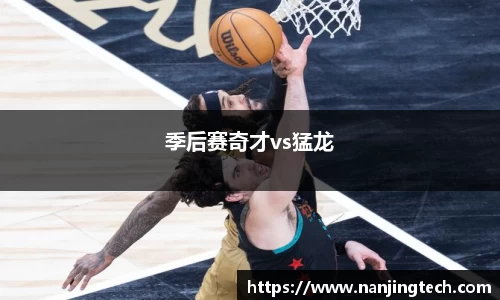 季后赛奇才vs猛龙