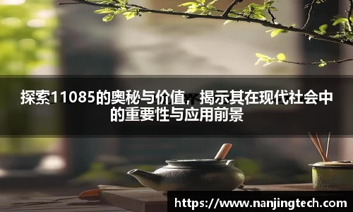 探索11085的奥秘与价值，揭示其在现代社会中的重要性与应用前景